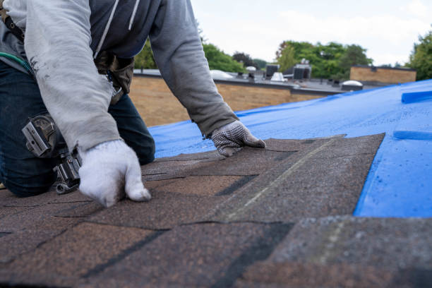 Best Storm Damage Roof Repair  in Fruitland, IA